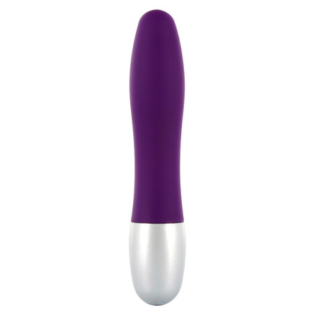 Vibratore classico piccolo Discretion Probe Vibrator purple