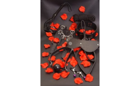 Guida completa come usare i sextoys insieme al tuo partner - Come Introdurre un Sex Toy nella Vita Sessuale di Coppia